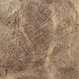 CF Stead, Kudu Waxy